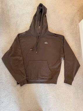 ALO Yoga Brown Hooded Pullover Sweatshirt
